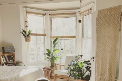 brown wooden framed white padded chair in between green indoor leaf plants inside bedroom