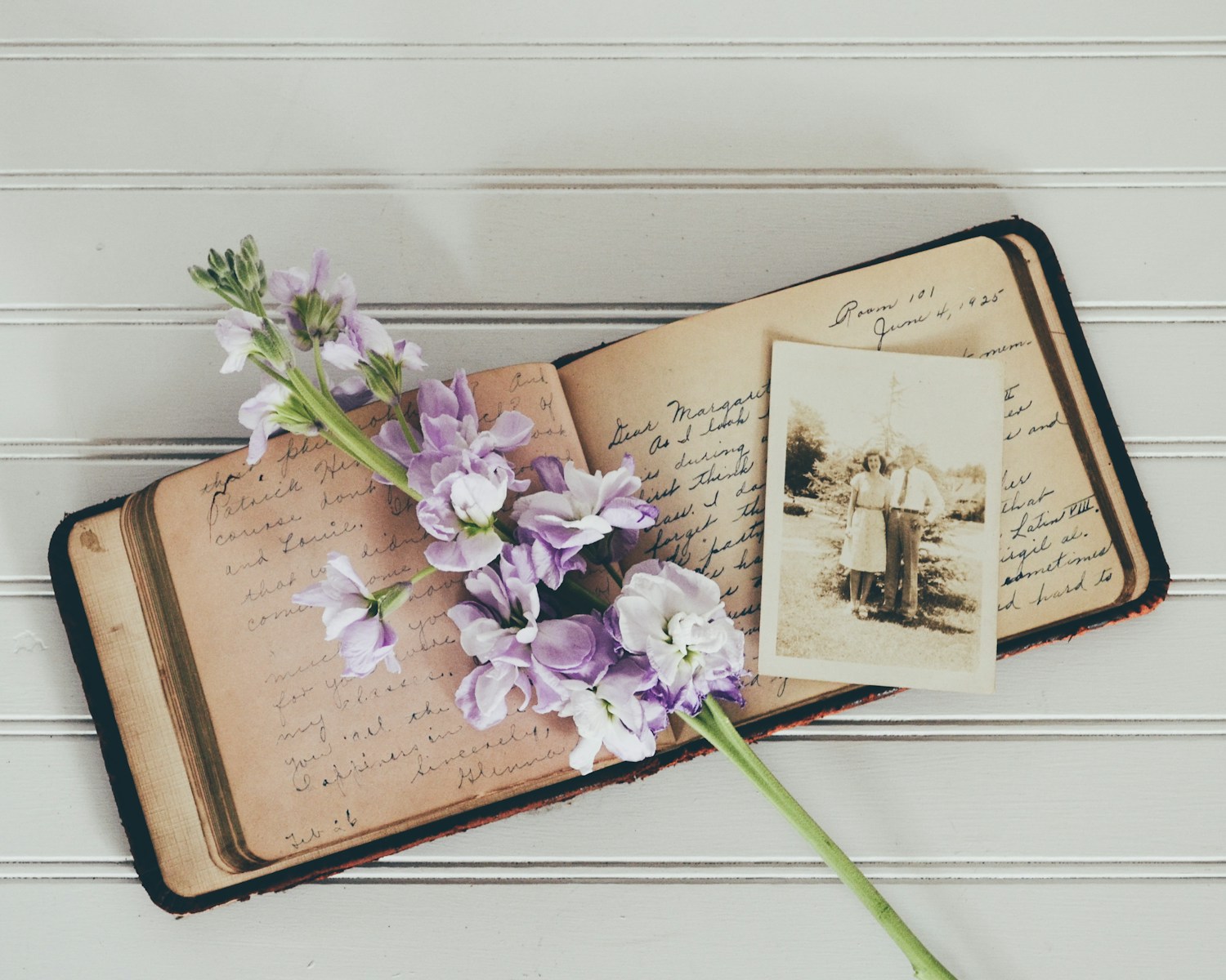 purple flowers on brown open book